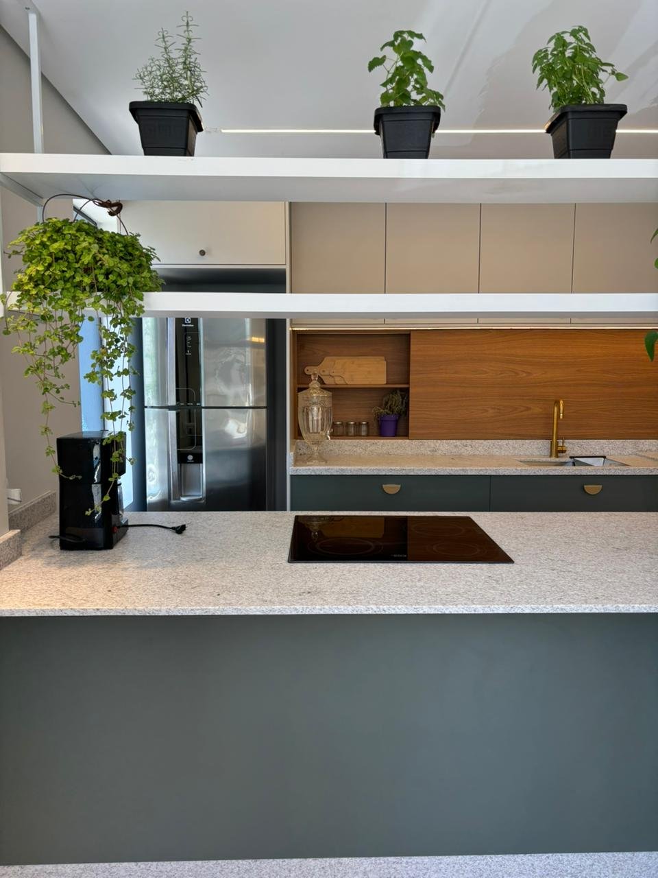 Foto Carrossel Dommo 10