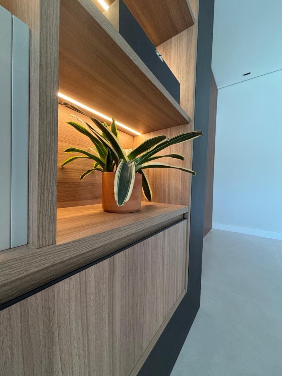 Foto Carrossel Dommo 15